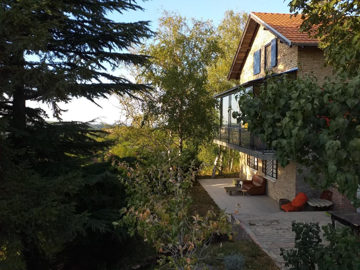 Lodging Vidmar Sremski Karlovci Ngoại thất bức ảnh