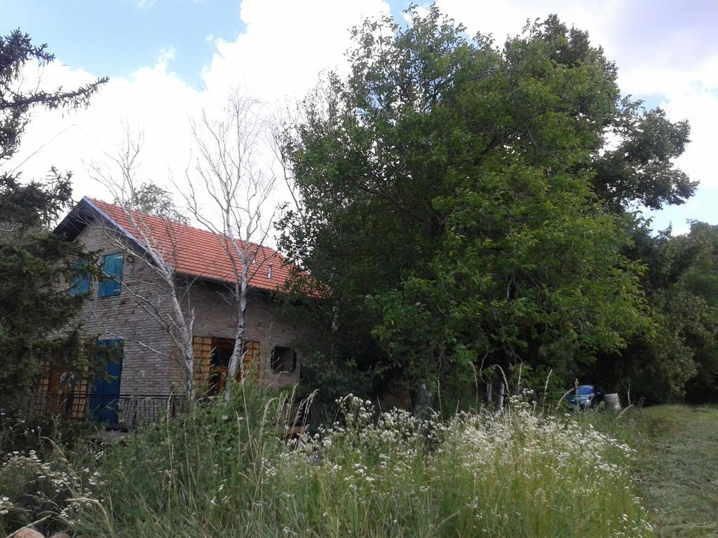 Lodging Vidmar Sremski Karlovci Ngoại thất bức ảnh