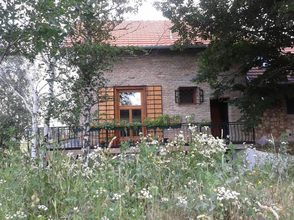 Lodging Vidmar Sremski Karlovci Ngoại thất bức ảnh